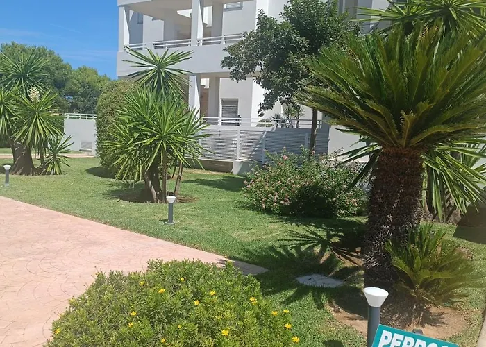 Met&golf Nova Jardin Oliva